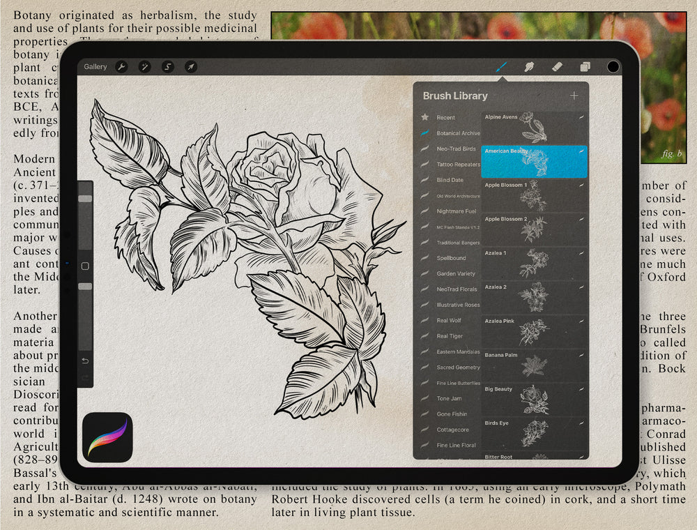 Flash Stamps - Botanical Archive - Tattoo Smart