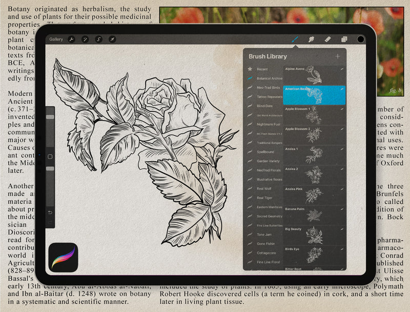 Flash Stamps - Botanical Archive - Tattoo Smart