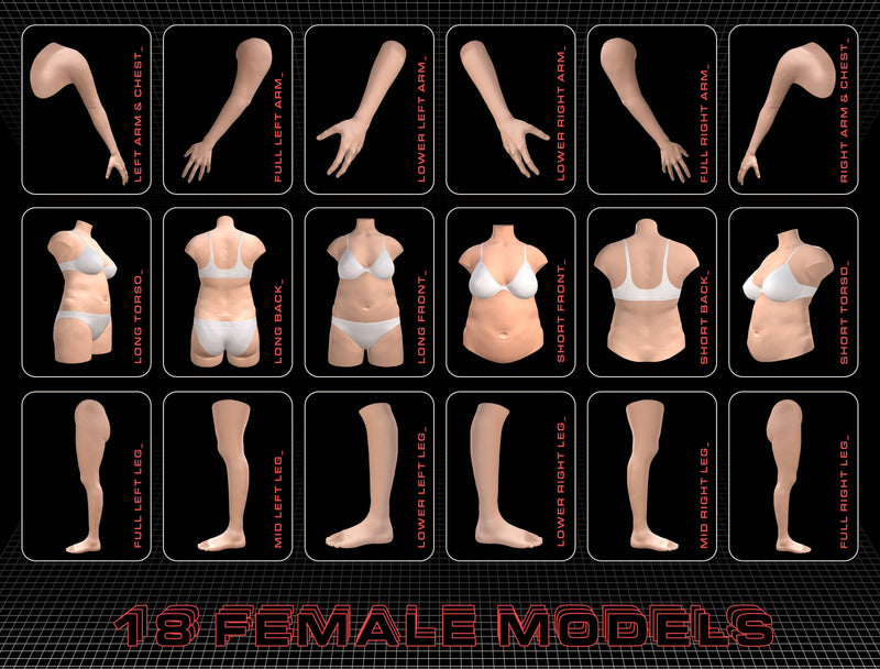 3D Model - Model Humans: Advanced 3D Body Parts - Tattoo Smart