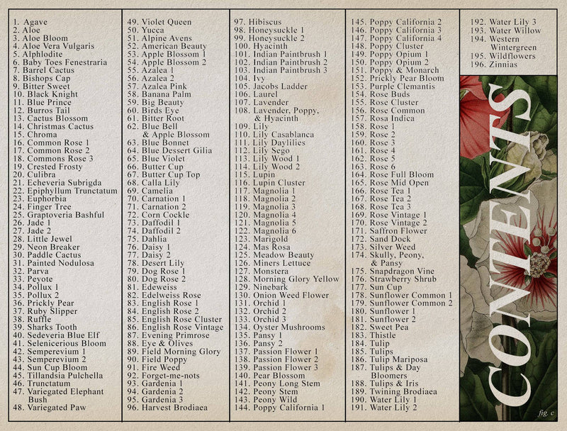 Flash Stamps - Botanical Archive - Tattoo Smart