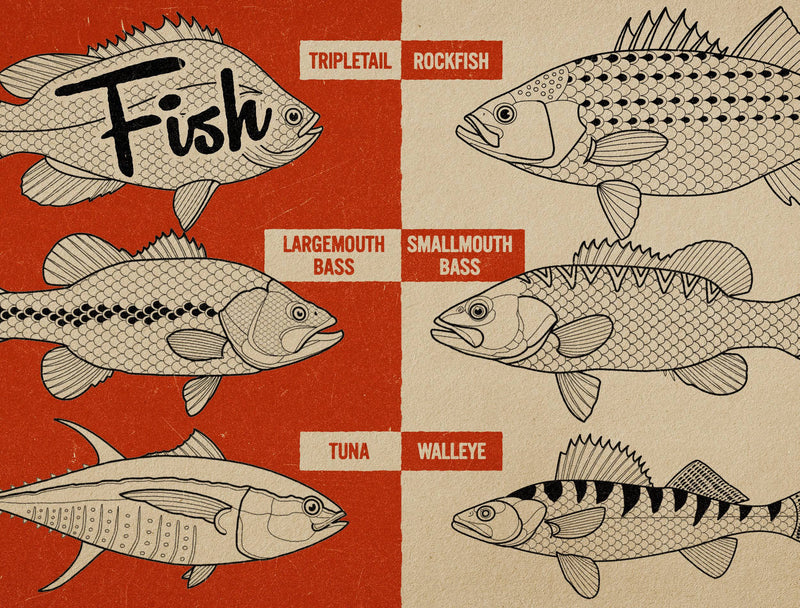 Flash Stamps - Gone Fishin' - Tattoo Smart