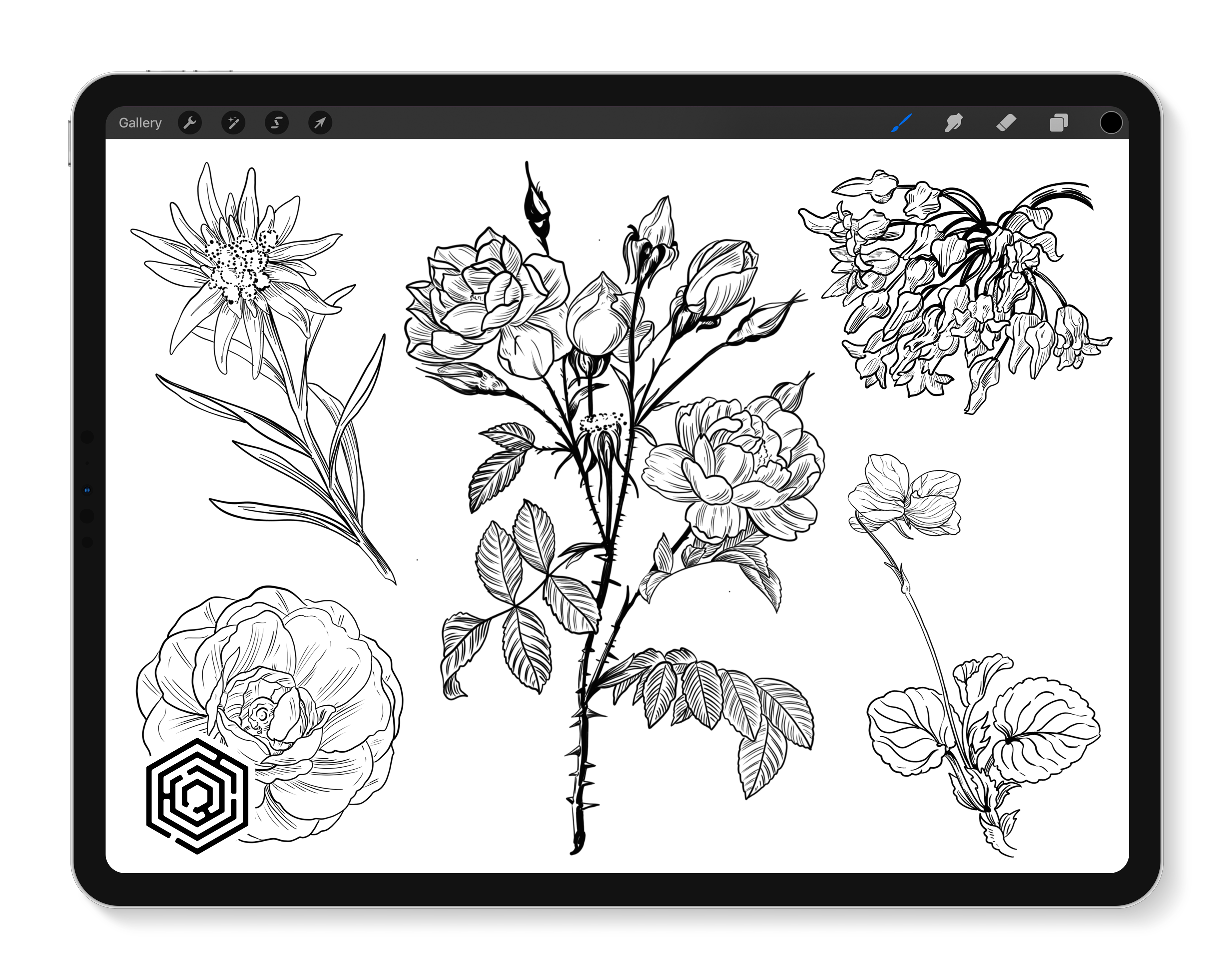 The fascinating world of flora in a botanical tattoo by Olga Nekrasova |  iNKPPL