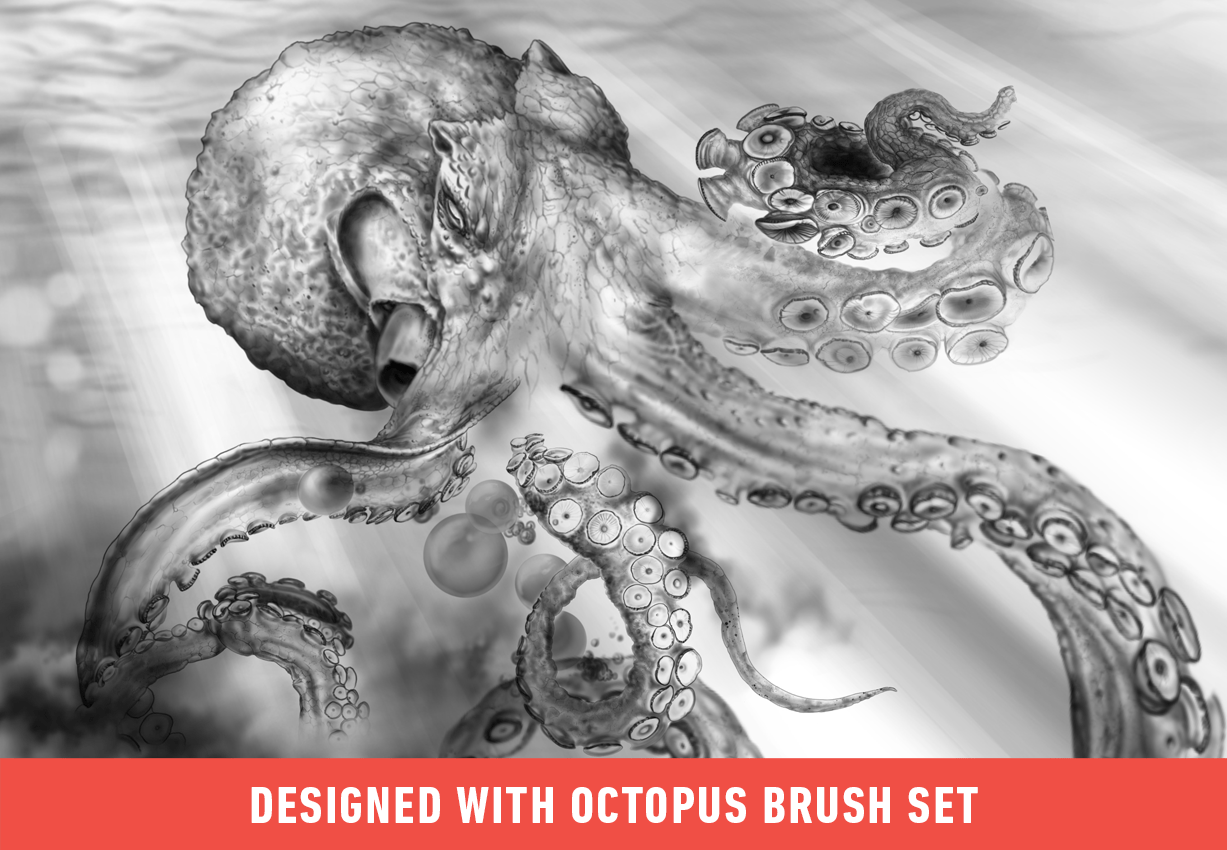 Full color, custom realistic octopus tattoo- part of an underwater/ocean  leg sleeve by Evan Olin : Tattoos