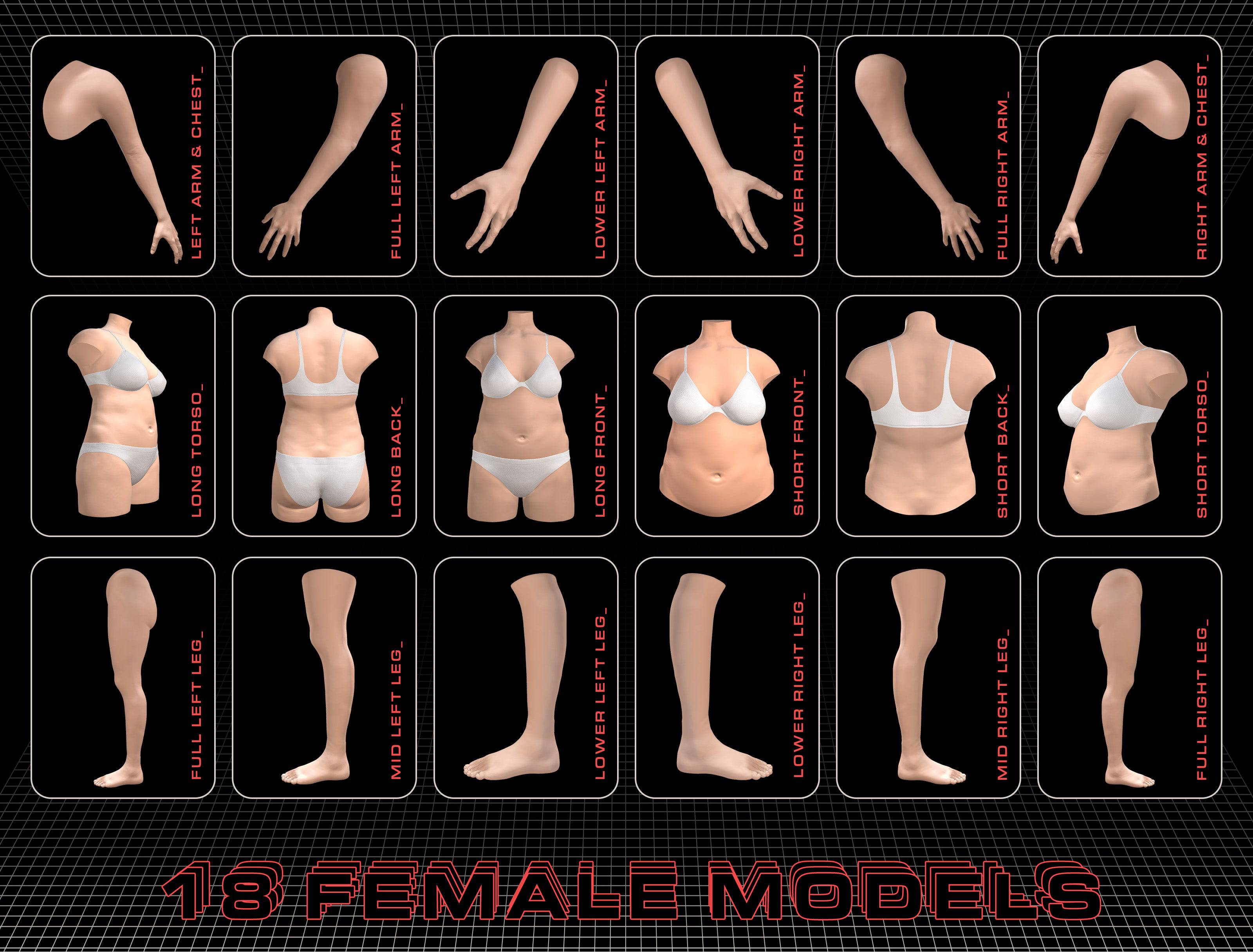 Model Humans: Advanced 3D Body Parts