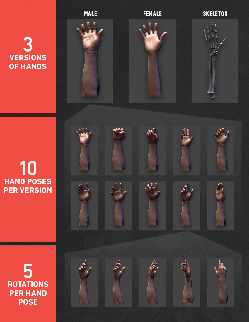 22 x Male and Female 3D Hand Scans