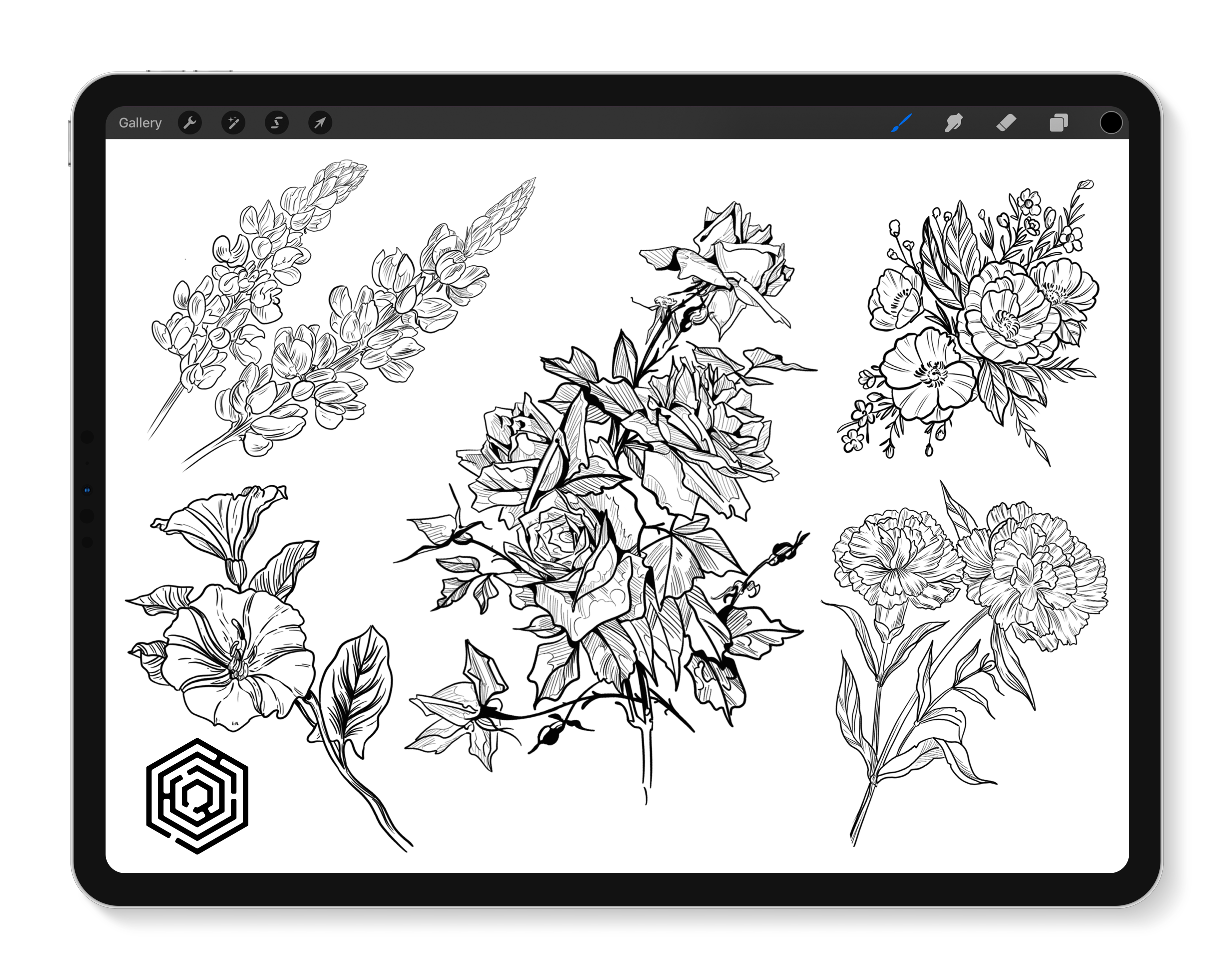 Flower Drawings | Inktober 2020 Roundup — Katrina Crouch | Blushed Design