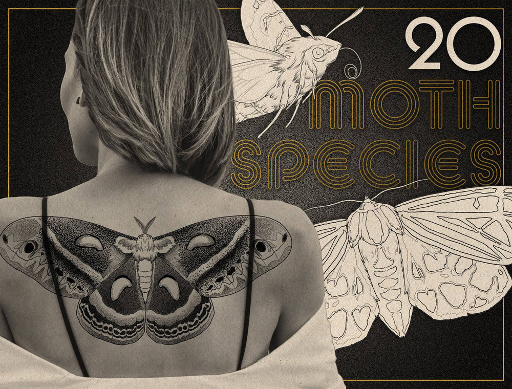Flash Stamps - Fine Line Butterflies - Tattoo Smart
