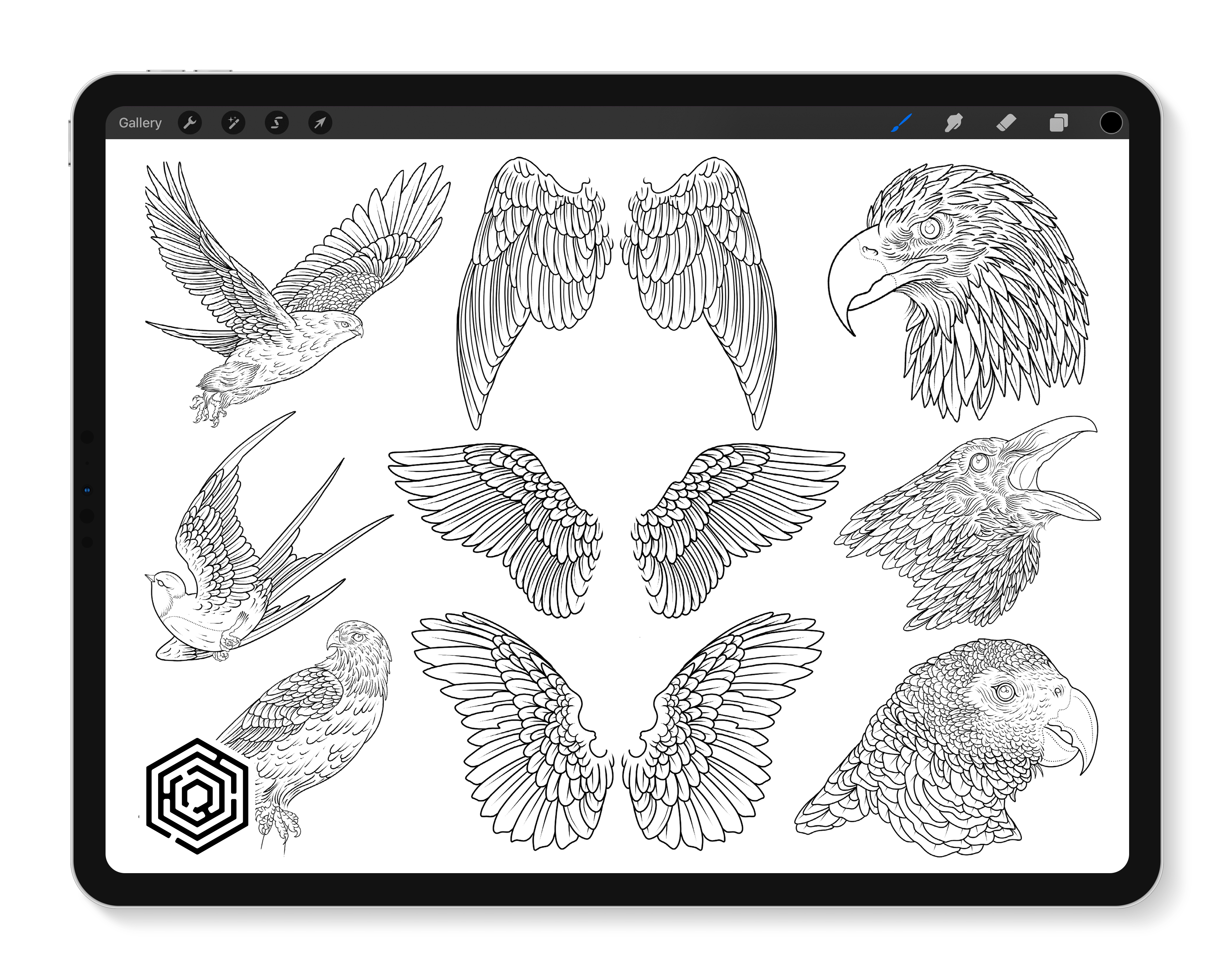 Sketch wing. Pair of angel wings with halo. Cute wide open angelic wing  doodle, flying bird feathers outline tattoo sketch vector set 22966460  Vector Art at Vecteezy