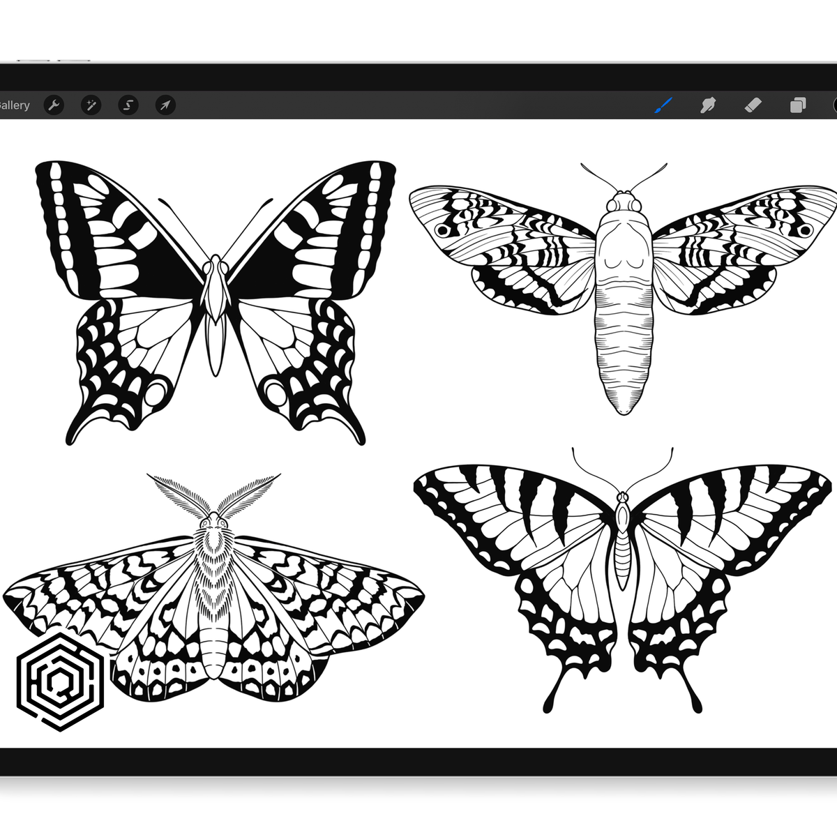 Drawing butterflies. Stencil butterfly, moth wings and flyin