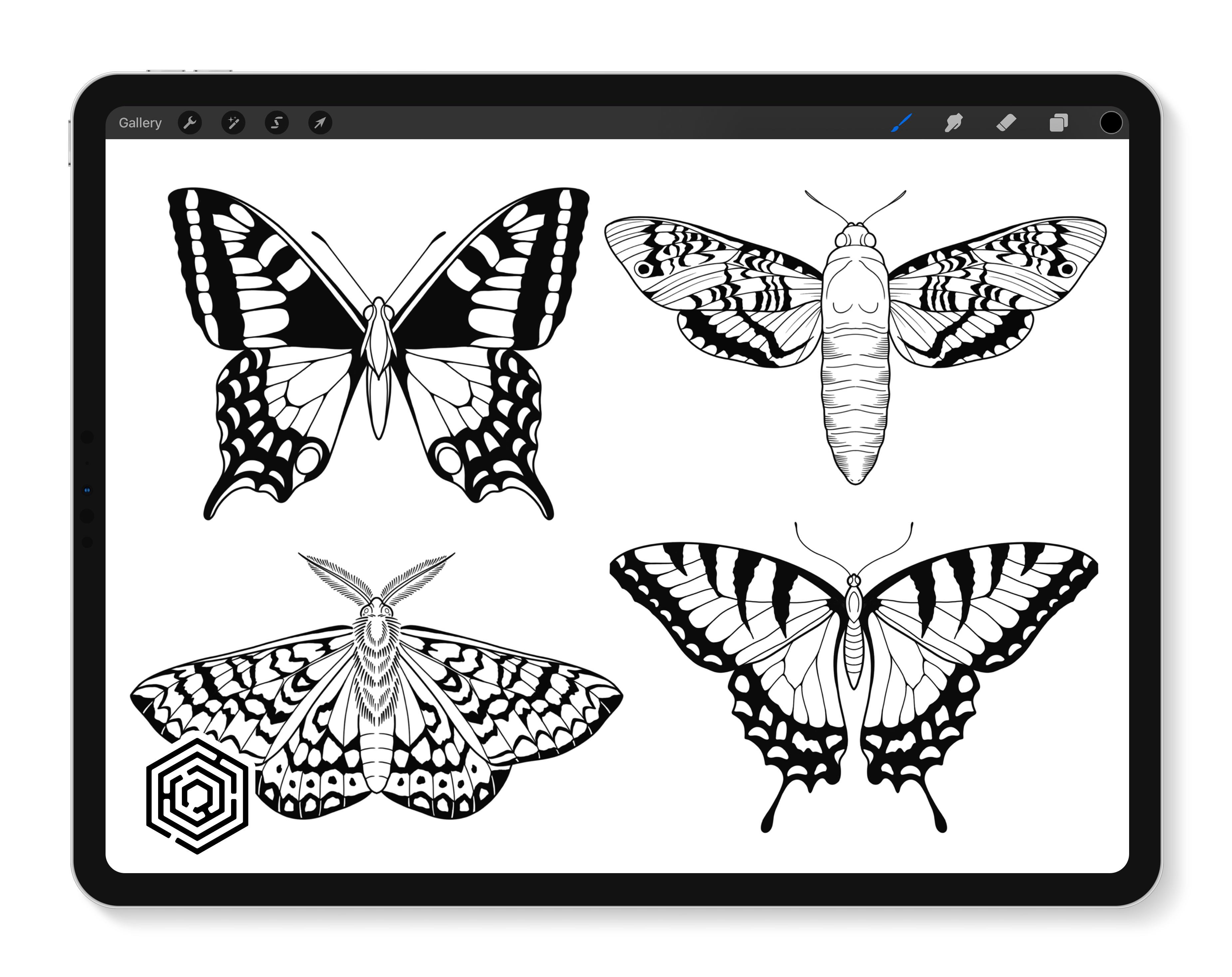Flash Stamps - Moth vs. Butterfly - Tattoo Smart